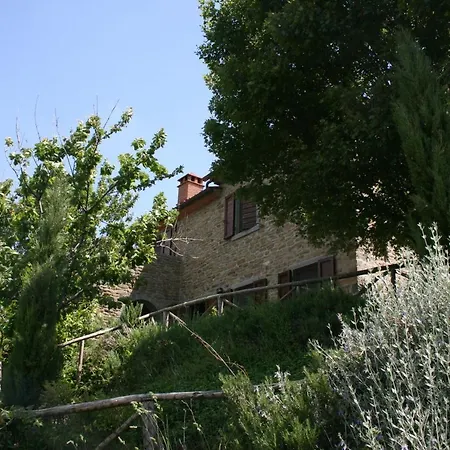 Casetta I Ciliegi
