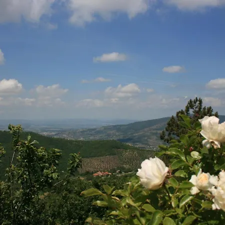 Casetta I Ciliegi Cortona